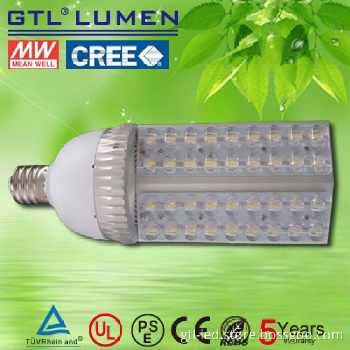 E40 LED park lighting with CREE LED